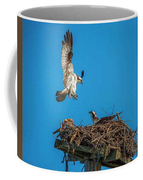 Raptor Coffee Mug featuring the photograph Incoming by Cathy Kovarik