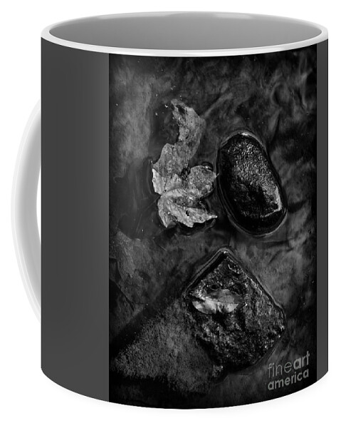 Black And White Coffee Mug featuring the photograph Into the Stream 1 #1 by Jimmy Ostgard