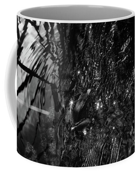 Black And White Coffee Mug featuring the photograph Into the Stream 10 #1 by Jimmy Ostgard