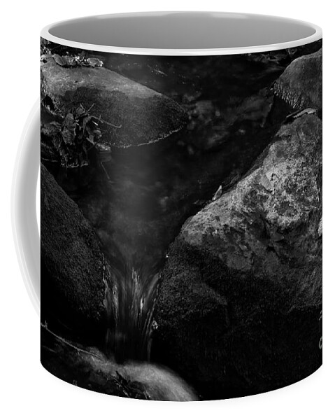 Black And White Coffee Mug featuring the photograph Into the Stream 13 #1 by Jimmy Ostgard