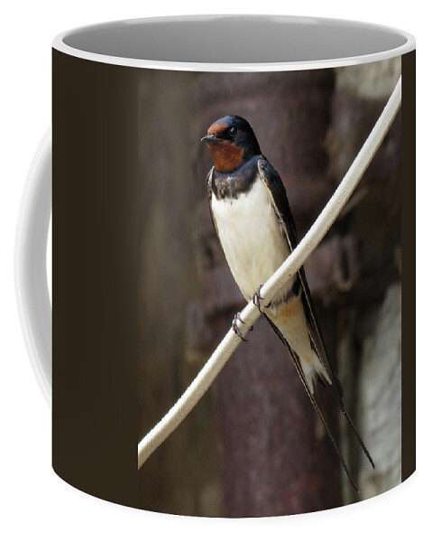 Jay Coffee Mug featuring the photograph Swallow 2 by John Topman