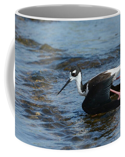 Black-necked Stilt Coffee Mug featuring the photograph Knee Deep #1 by Fraida Gutovich