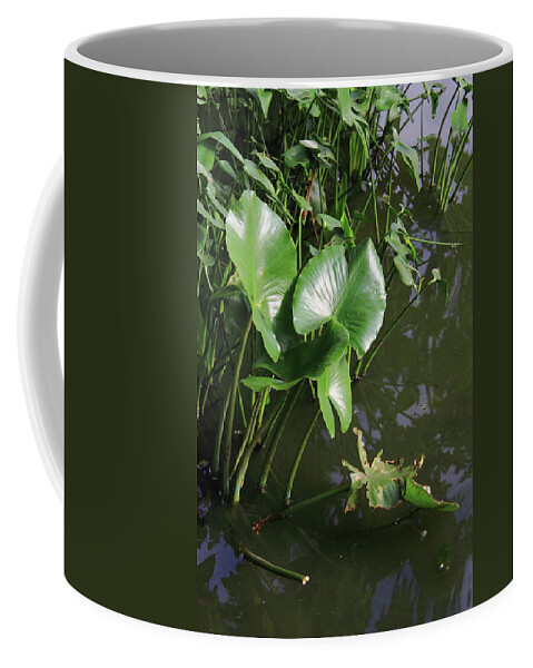  Bay Coffee Mug featuring the photograph Lake Plants #1 by Frank Romeo