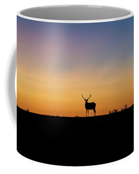 Point Reyes Coffee Mug featuring the photograph Last Light #1 by Mike Ronnebeck
