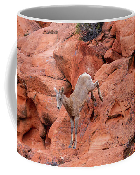 Valley Of Fire Coffee Mug featuring the photograph Leap of Faith #1 by James Marvin Phelps