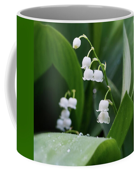 Finland Coffee Mug featuring the photograph Lily of the valley #2 by Jouko Lehto