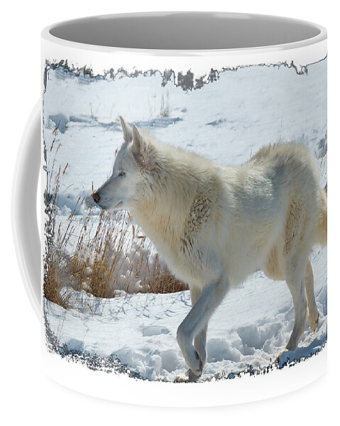 Lone White Wolf Coffee Mug featuring the photograph Lone White Wolf by OLena Art
