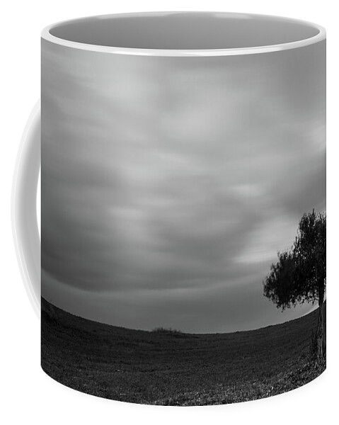 Olive Tree Coffee Mug featuring the photograph Lonely Olive tree in a green field and moving clouds by Michalakis Ppalis
