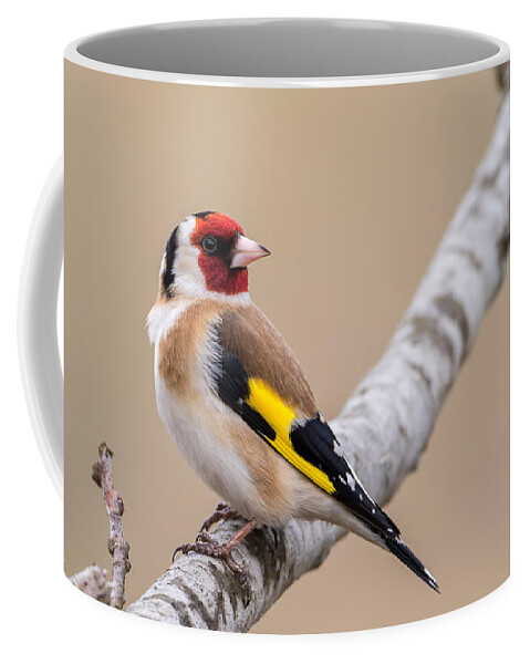 Looking Behind Coffee Mug featuring the photograph Looking behind2 by Torbjorn Swenelius