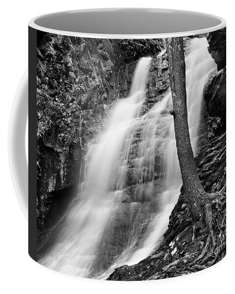 Waterfall Coffee Mug featuring the photograph Lower Cascade 2 #1 by Patrick Lynch