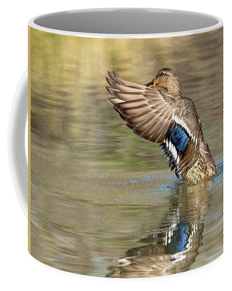 Mallard Coffee Mug featuring the photograph Mallard Duck Female #1 by Tam Ryan