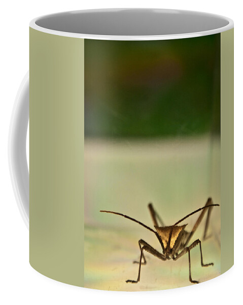 Hemiptera Coffee Mug featuring the photograph Martian Monster #1 by Douglas Barnett