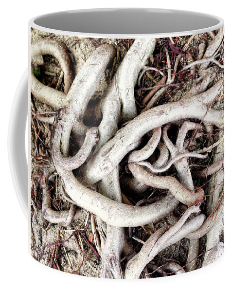 Tree Coffee Mug featuring the photograph Maze #1 by Dominic Piperata