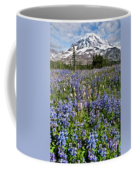 Alpine Coffee Mug featuring the photograph Meadow of Lupine Near Mount Rainier by Jeff Goulden