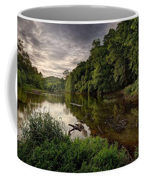 2015 Coffee Mug featuring the photograph Meramec River by Robert Charity
