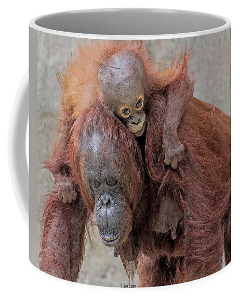 Orangutan Coffee Mug featuring the digital art Motherhood 2 #1 by Larry Linton