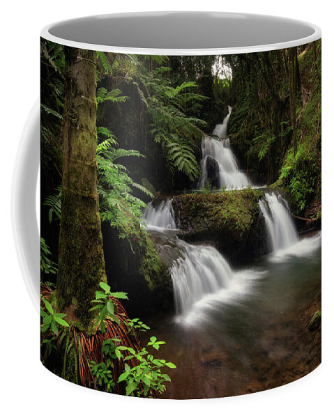Hawaii Coffee Mug featuring the photograph Onomea Falls #1 by Christopher Johnson