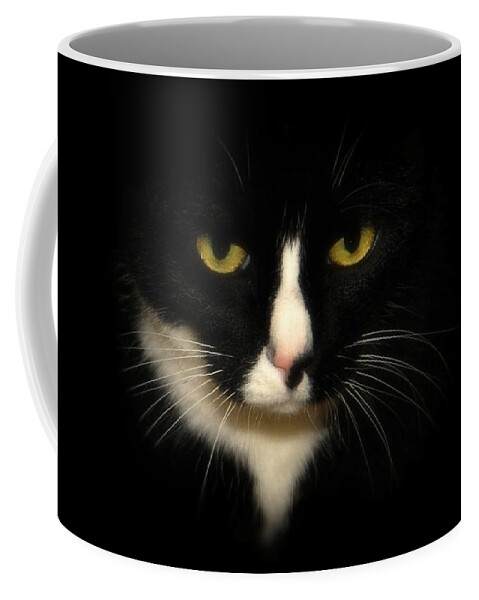 Cat Coffee Mug featuring the photograph Oreo by Angie Tirado