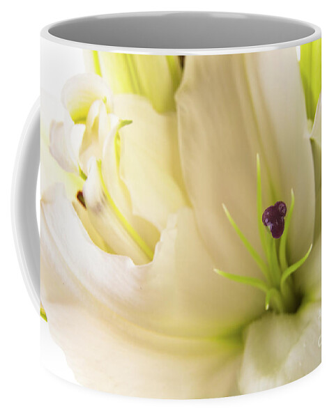 Alive Coffee Mug featuring the photograph Oriental Lily Flower #1 by Raul Rodriguez