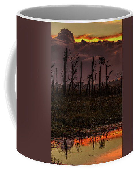 Sunrise Coffee Mug featuring the photograph Orlando Wetlands Sunrise #1 by Dorothy Cunningham