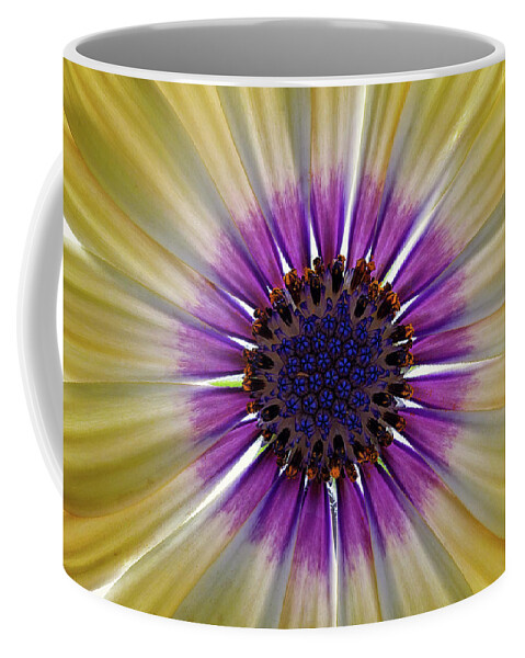 Bloom Coffee Mug featuring the photograph Osteospermum The Cape Daisy #1 by Shirley Mitchell