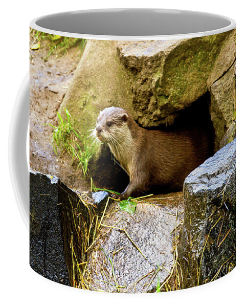 Otter Coffee Mug featuring the photograph Otter #2 by Ed James