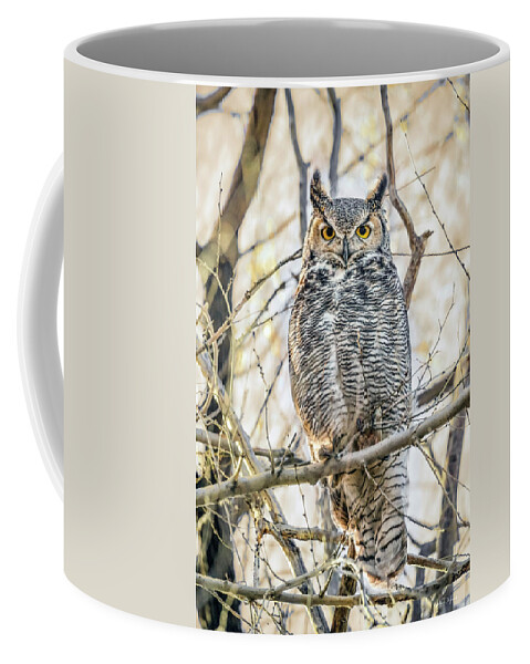 Nature Coffee Mug featuring the photograph Owl Stare #1 by Leland D Howard