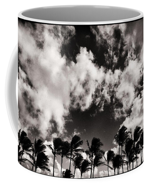  Coffee Mug featuring the photograph Palms Blowing in the Wind by Lawrence Knutsson