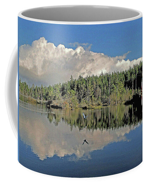 Lake Coffee Mug featuring the photograph Pause and Reflect #1 by Suzy Piatt