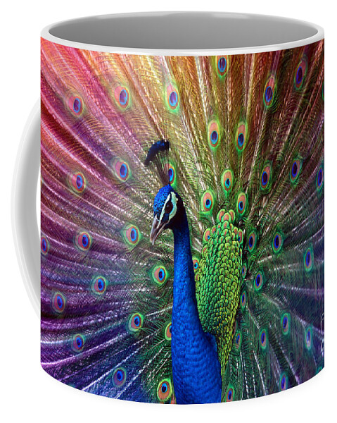 Beauty Coffee Mug featuring the photograph Peacock by Hannes Cmarits