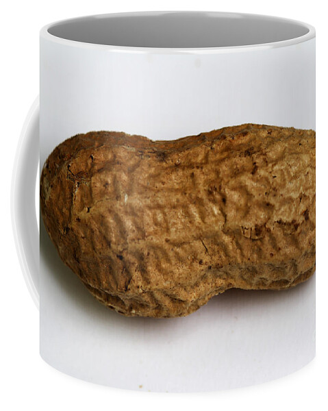 Allergic Coffee Mug featuring the photograph Peanut #1 by Photo Researchers, Inc.