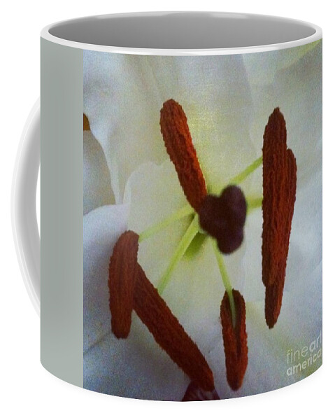 Flower Coffee Mug featuring the photograph Peek by Denise Railey