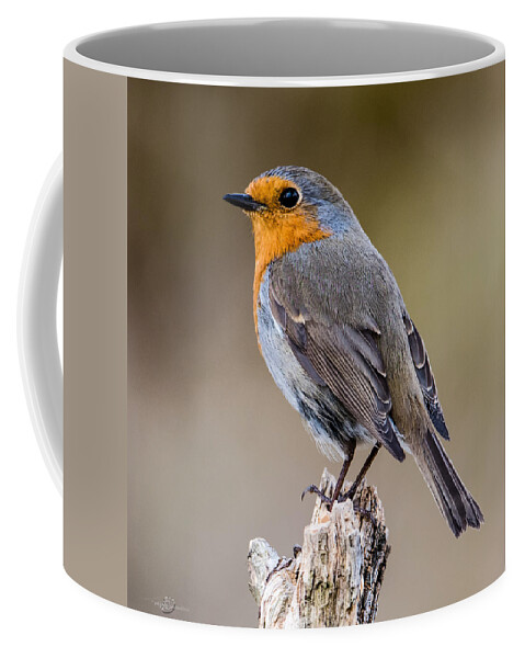 Perching Coffee Mug featuring the photograph Perching Robin by Torbjorn Swenelius