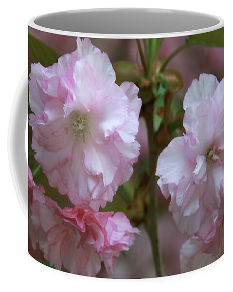 Pink Coffee Mug featuring the photograph Pink Blossoms of Crabapple Tree by Yvonne Wright