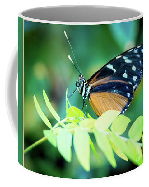 Insect Coffee Mug featuring the photograph Pondering #1 by Deborah Klubertanz
