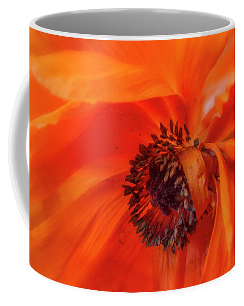 Flowers Coffee Mug featuring the photograph Poppy Detail #1 by Garry McMichael