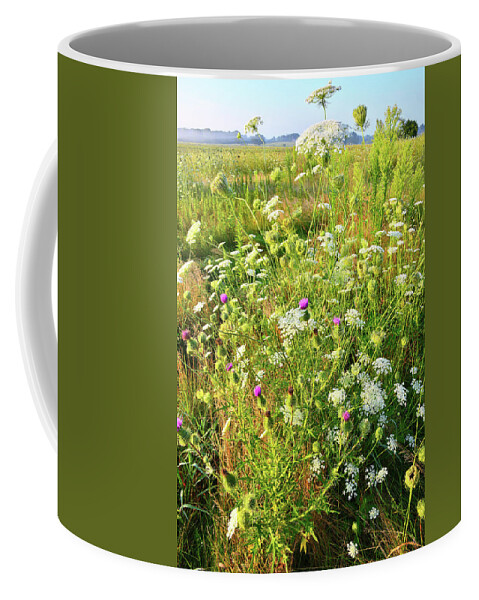 Mchenry County Conservation District Coffee Mug featuring the photograph Prairie Wildflowers in Glacial Park #1 by Ray Mathis