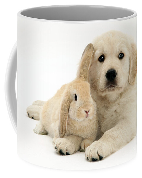Sandy Lop Rabbit Coffee Mug featuring the photograph Puppy And Bunny #1 by Jane Burton