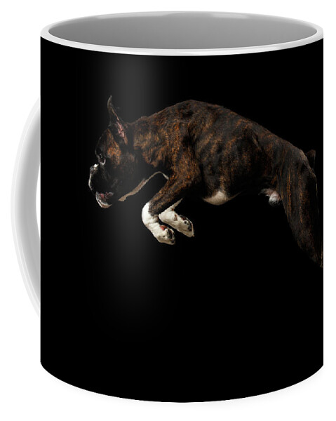 Boxer Coffee Mug featuring the photograph Purebred Boxer Dog Isolated on Black Background #2 by Sergey Taran