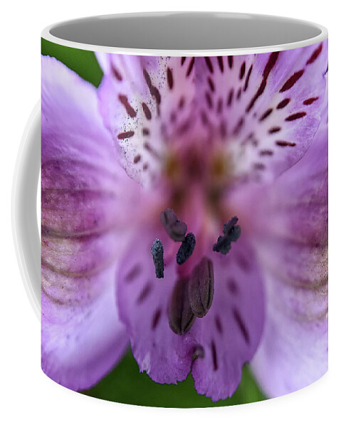  Coffee Mug featuring the photograph Purple Flower #1 by Kuni Photography