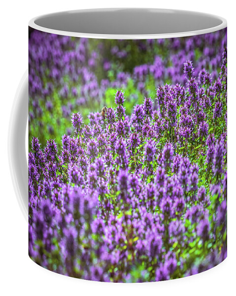 Meadow Coffee Mug featuring the photograph Purple Meadow #1 by Lilia S