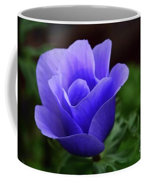 Flowers Coffee Mug featuring the photograph Purple Poppy #1 by Cindy Manero