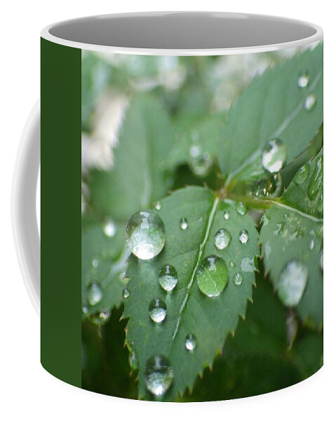  Coffee Mug featuring the photograph Raindrops #1 by Kumiko Izumi