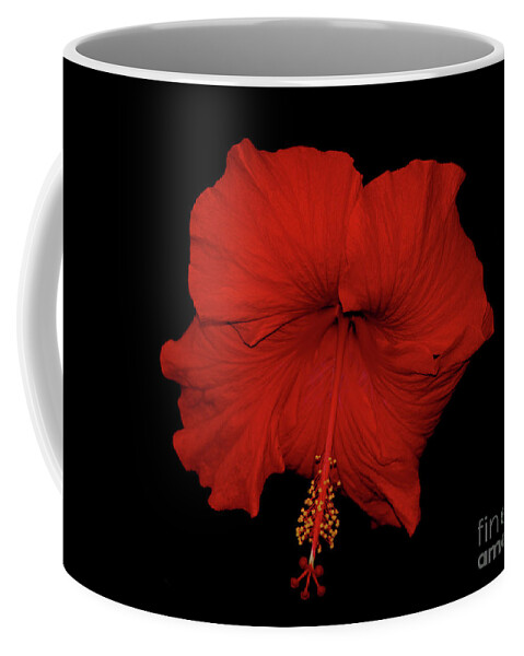 Red Hibiscus Coffee Mug featuring the photograph 1- Red Hibiscus by Joseph Keane