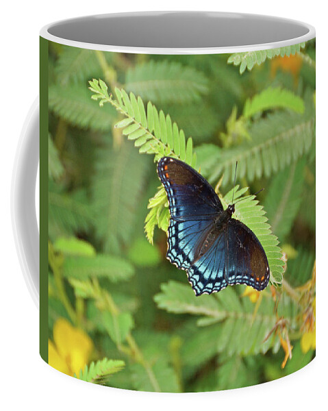 Butterfly Coffee Mug featuring the photograph Red Spotted Purple Butterfly #2 by Sandy Keeton