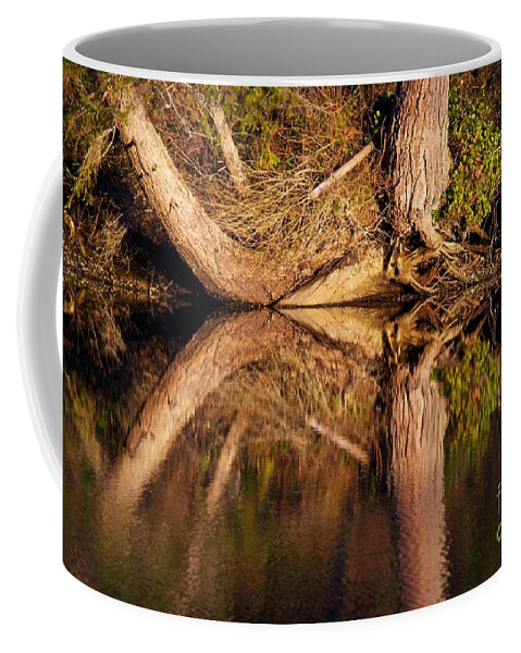 Photography Coffee Mug featuring the photograph Reflections #1 by Sean Griffin