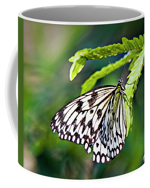 Butterfly Coffee Mug featuring the photograph Rice Paper Butterfly 7 by Walter Herrit