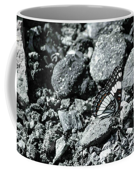 Butterfly Coffee Mug featuring the photograph Rising Ashes by Chelsea Brodin
