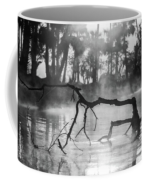 Florida Coffee Mug featuring the photograph River Sculpture #1 by Stefan Mazzola