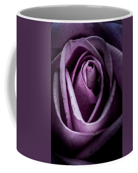 Flower Coffee Mug featuring the photograph Rose #1 by Allin Sorenson